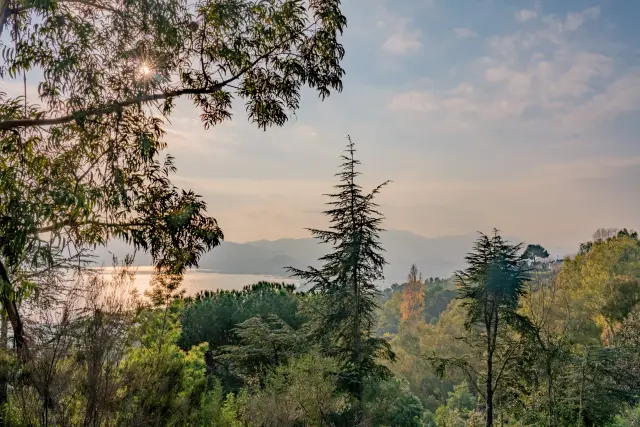 A hazy evening view across a lake framed by silhouetted trees and distant mountains.