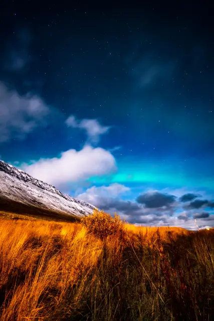 Faint green aurora and stars above a snowy slope and golden autumn grasses