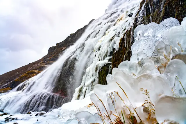 A partly frozen waterfall with bulbous ice formations in winter, Iceland