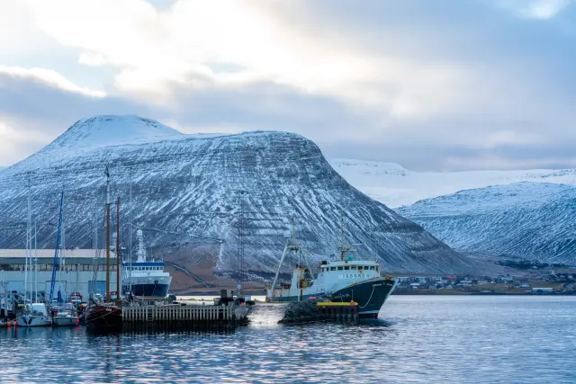 A fishing trawler entering a calm harbour below a snow-covered mountain.