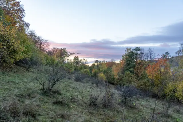Green and russet hills under a cloudy autumn sky.
