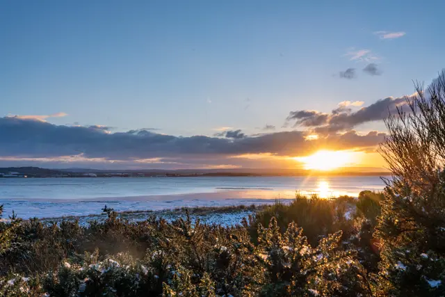 The sun setting over dune grass and water.